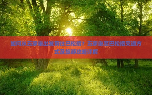 如何从五家渠出发前往巴松措？五家渠至巴松措交通方式及旅游攻略详解
