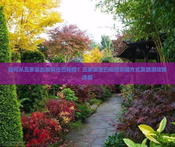 如何从五家渠出发前往巴松措？五家渠至巴松措交通方式及旅游攻略详解