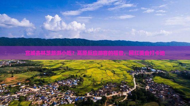 宣城去林芝旅游小吃？高原反应游客的福音，网红美食打卡地