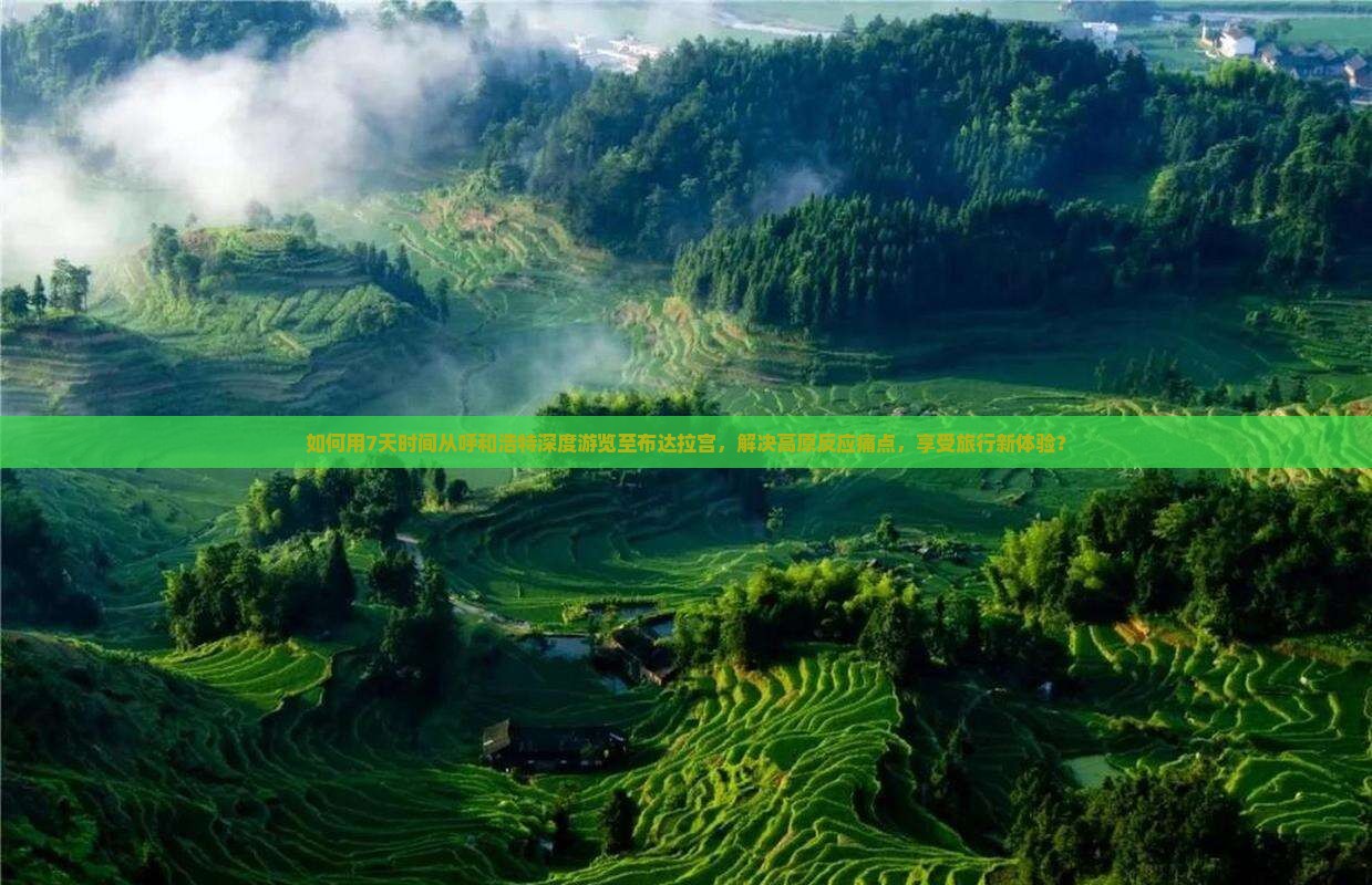 如何用7天时间从呼和浩特深度游览至布达拉宫，解决高原反应痛点，享受旅行新体验？