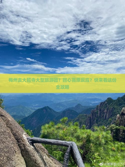 梅州去大昭寺大型旅游团？担心高原反应？快来看这份全攻略