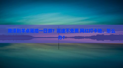 菏泽到羊卓雍措一日游？高速不免费+网红打卡地，怎么办？