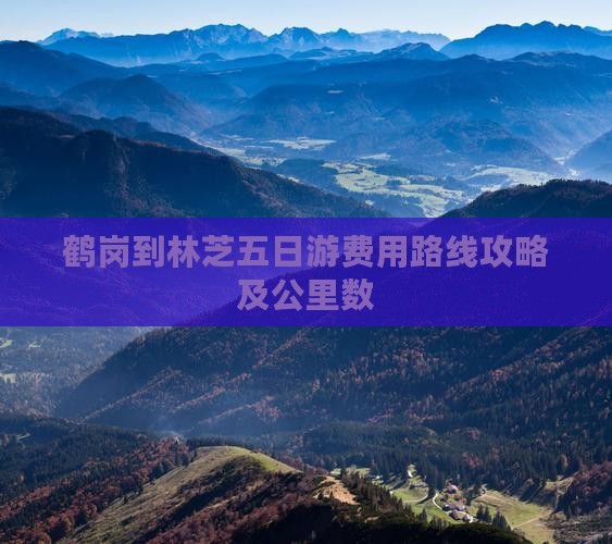 鹤岗到林芝五日游费用路线攻略及公里数