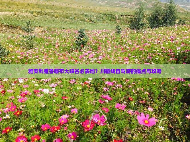 雅安到雅鲁藏布大峡谷必去地？川藏线自驾游的痛点与攻略
