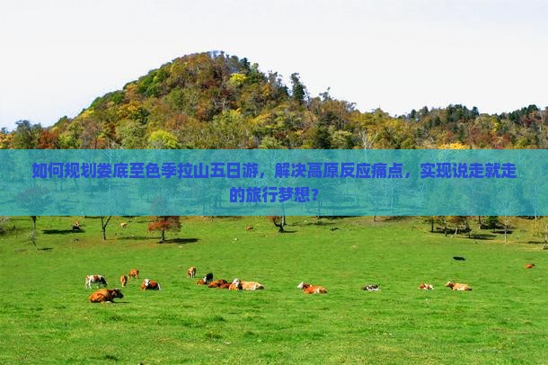 如何规划娄底至色季拉山五日游，解决高原反应痛点，实现说走就走的旅行梦想？