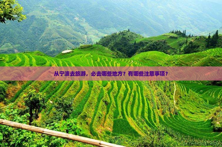 从宁波去旅游，必去哪些地方？有哪些注意事项？