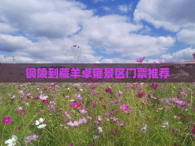铜陵到藏羊卓雍景区门票推荐