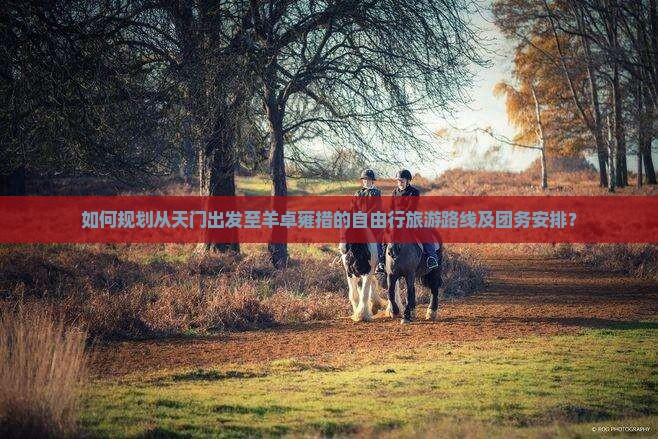 如何规划从天门出发至羊卓雍措的自由行旅游路线及团务安排？