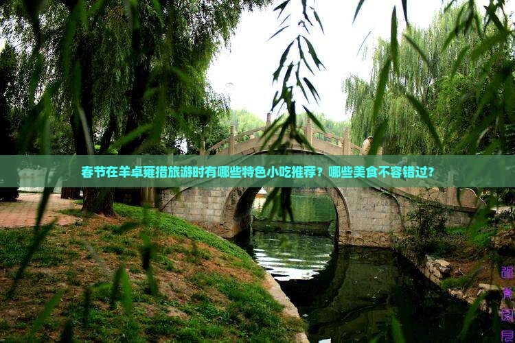 春节在羊卓雍措旅游时有哪些特色小吃推荐？哪些美食不容错过？