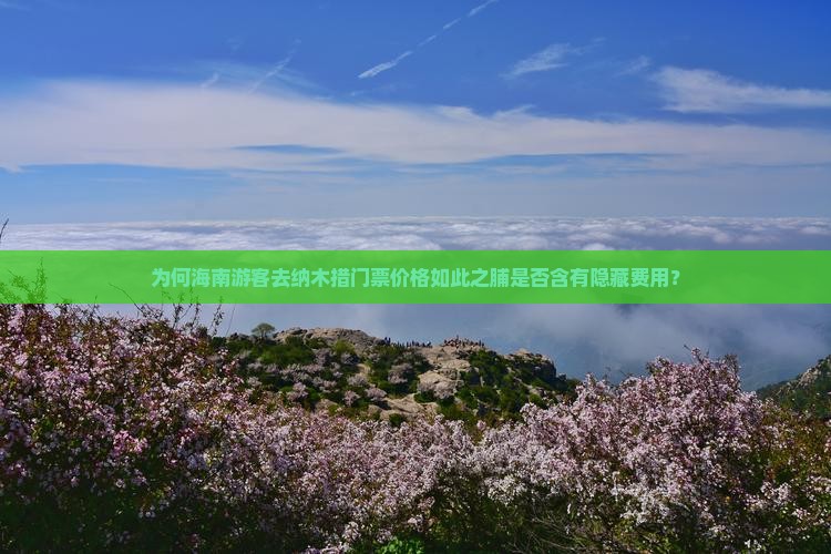 为何海南游客去纳木措门票价格如此之脯是否含有隐藏费用？