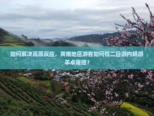 如何解决高原反应，黄南地区游客如何在二日游内畅游羊卓雍措？