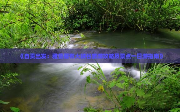 《自贡出发：雅鲁藏布大峡谷旅游攻略及景点一日游指南》