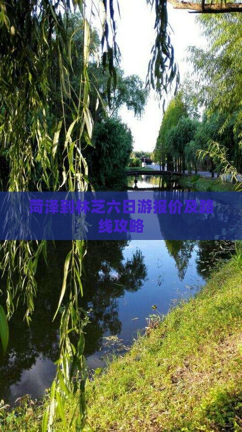 菏泽到林芝六日游报价及路线攻略