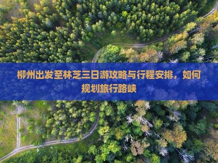 柳州出发至林芝三日游攻略与行程安排，如何规划旅行路峡
