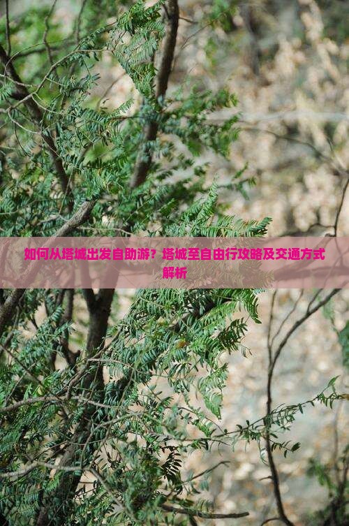 如何从塔城出发自助游？塔城至自由行攻略及交通方式解析