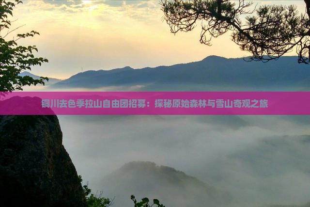 铜川去色季拉山自由团招募：探秘原始森林与雪山奇观之旅