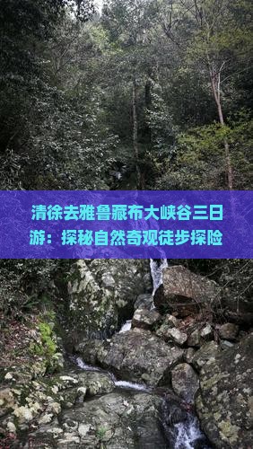 清徐去雅鲁藏布大峡谷三日游：探秘自然奇观徒步探险之旅