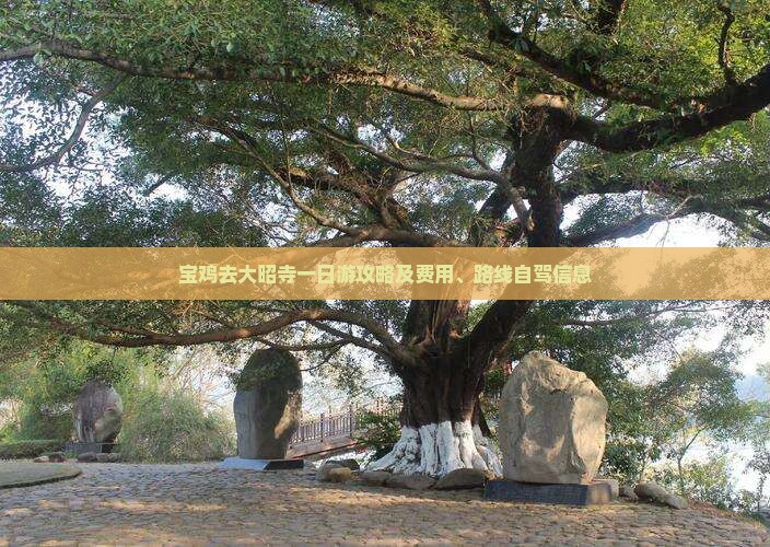 宝鸡去大昭寺一日游攻略及费用、路线自驾信息