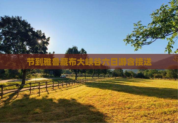 节到雅鲁藏布大峡谷六日游含接送