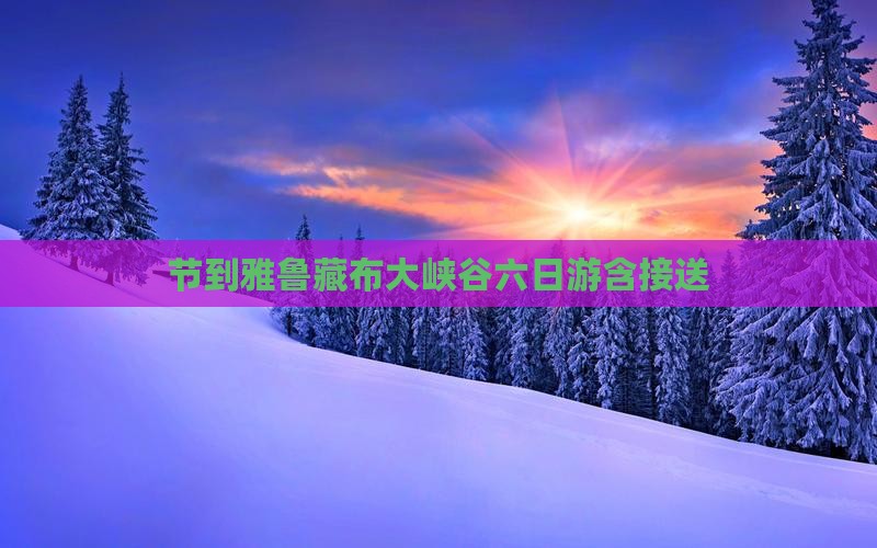 节到雅鲁藏布大峡谷六日游含接送
