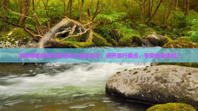 淄博游客如何实现鲁朗小镇自由行，避开旅行痛点，享受地道体验？