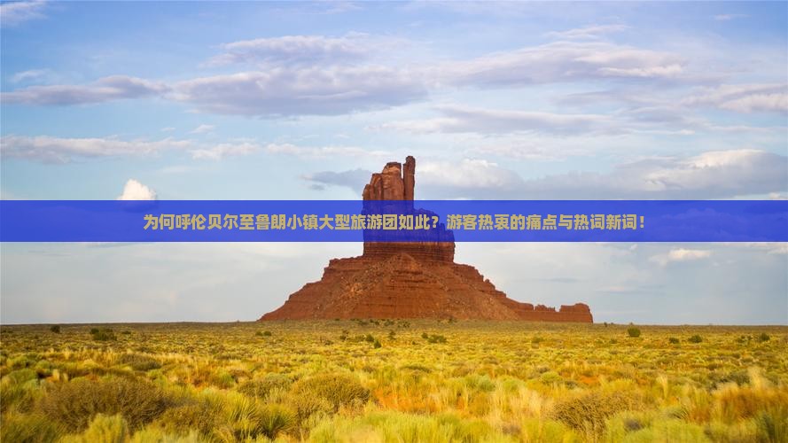 为何呼伦贝尔至鲁朗小镇大型旅游团如此？游客热衷的痛点与热词新词！