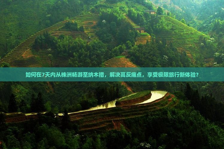 如何在7天内从株洲畅游至纳木措，解决高反痛点，享受极限旅行新体验？