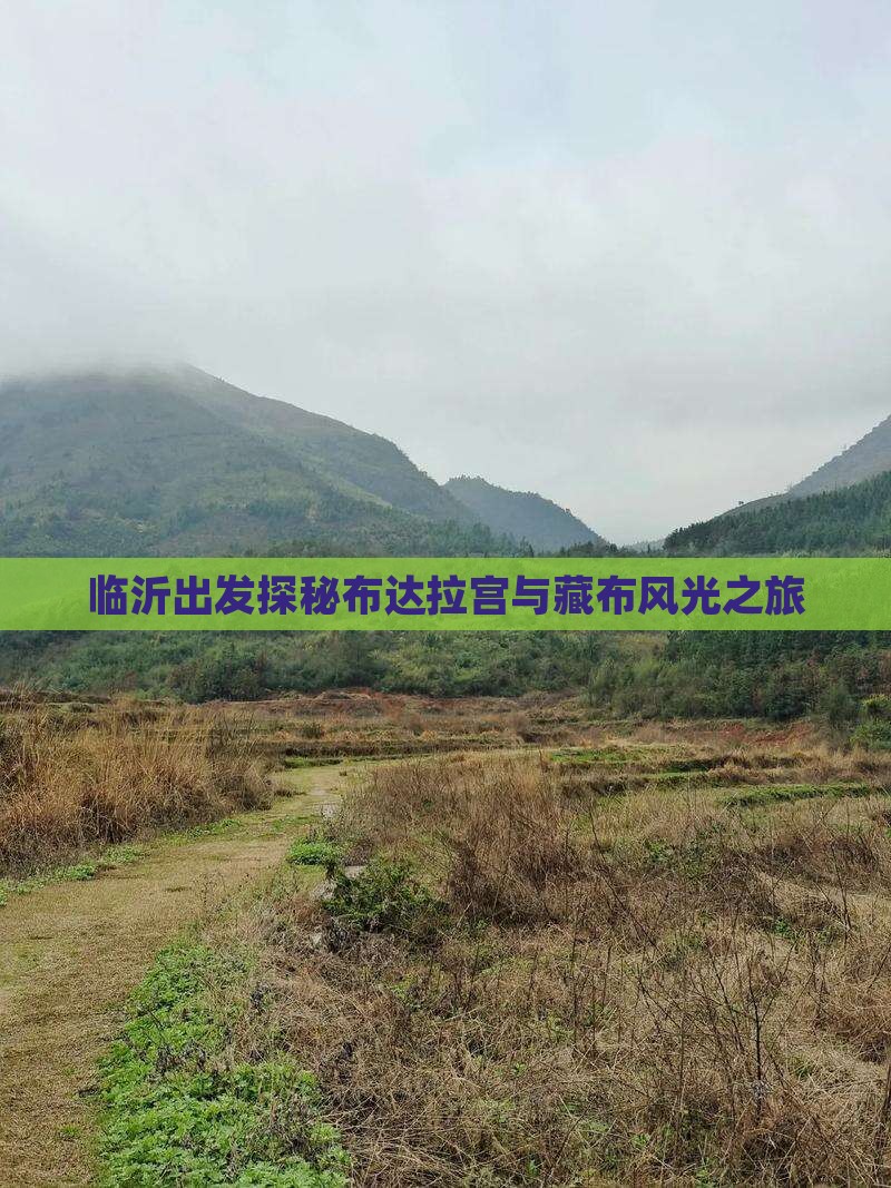 临沂出发探秘布达拉宫与藏布风光之旅