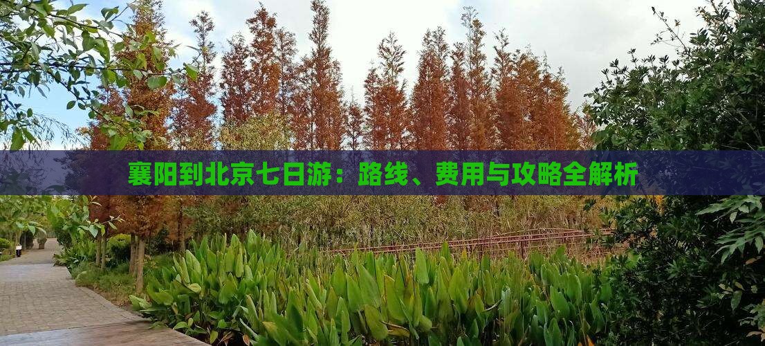 襄阳到北京七日游：路线、费用与攻略全解析