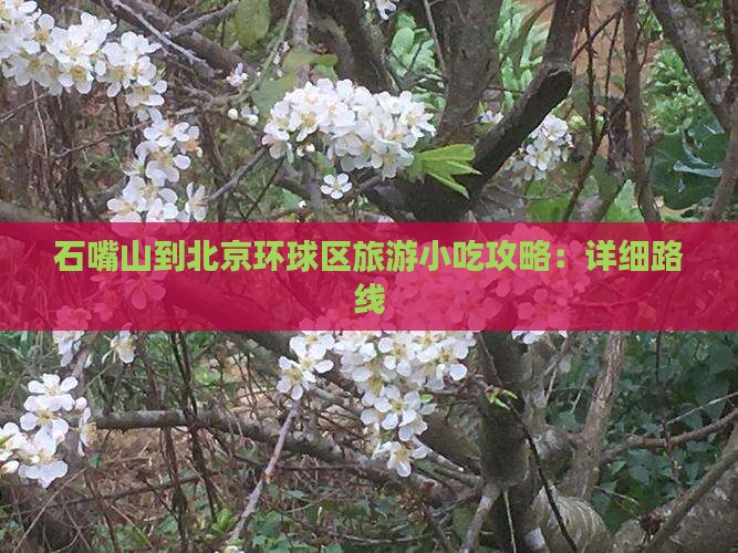 石嘴山到北京环球区旅游小吃攻略：详细路线