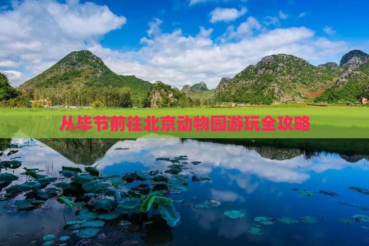 从毕节前往北京动物园游玩全攻略