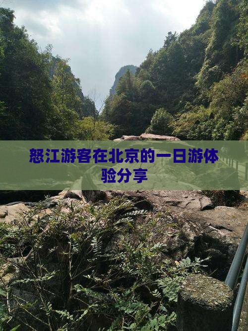 怒江游客在北京的一日游体验分享
