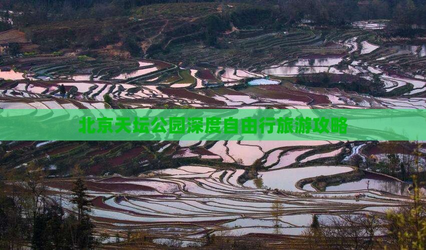 北京天坛公园深度自由行旅游攻略
