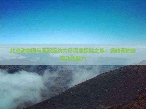 北京动物园与西双版纳六日深度探险之旅：领略两地珍稀动物魅力