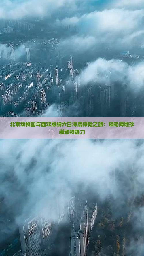 北京动物园与西双版纳六日深度探险之旅：领略两地珍稀动物魅力