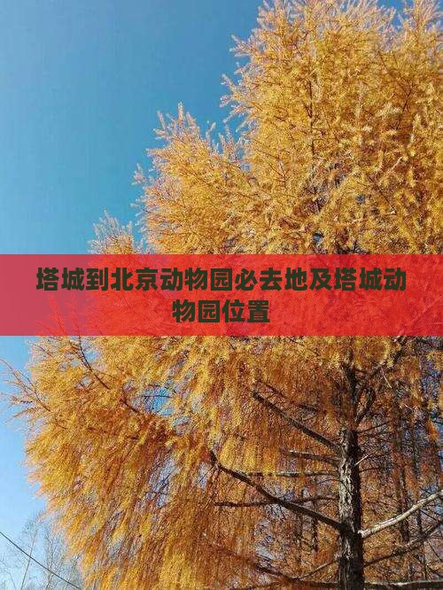 塔城到北京动物园必去地及塔城动物园位置