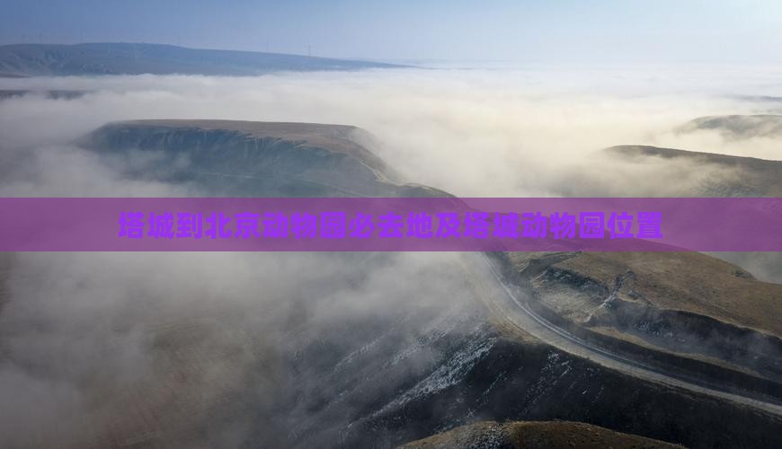 塔城到北京动物园必去地及塔城动物园位置