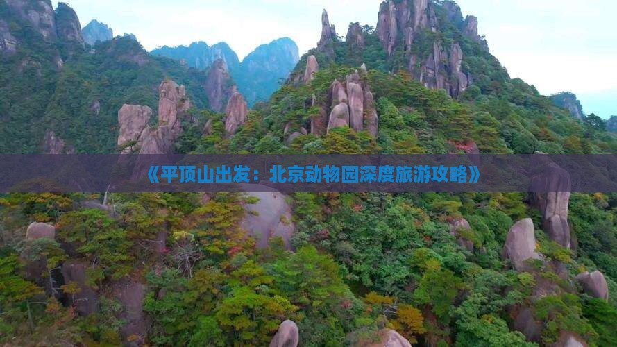 《平顶山出发：北京动物园深度旅游攻略》