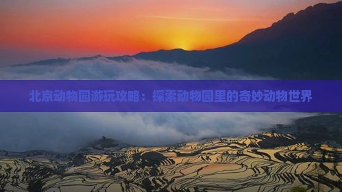 北京动物园游玩攻略：探索动物园里的奇妙动物世界