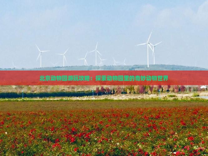 北京动物园游玩攻略：探索动物园里的奇妙动物世界