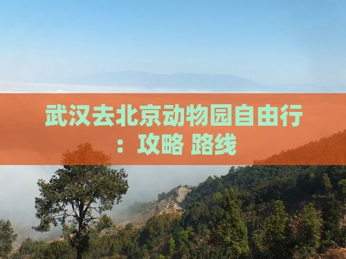 武汉去北京动物园自由行：攻略+路线