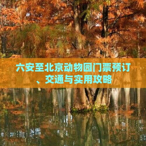 六安至北京动物园门票预订、交通与实用攻略