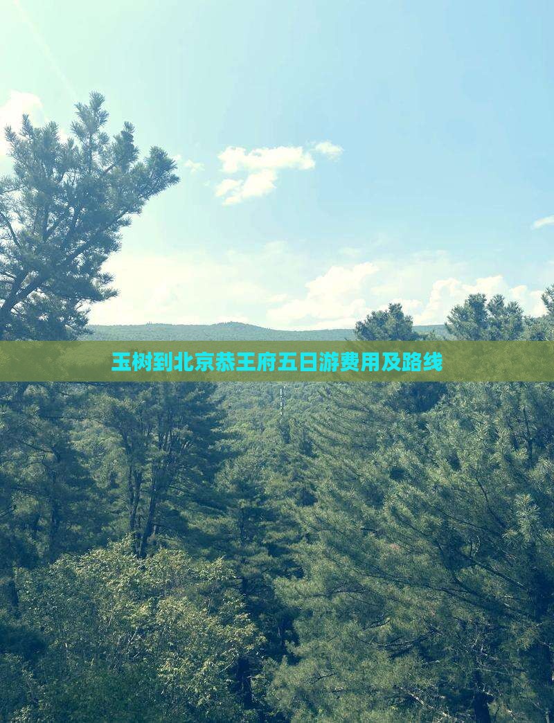 玉树到北京恭王府五日游费用及路线