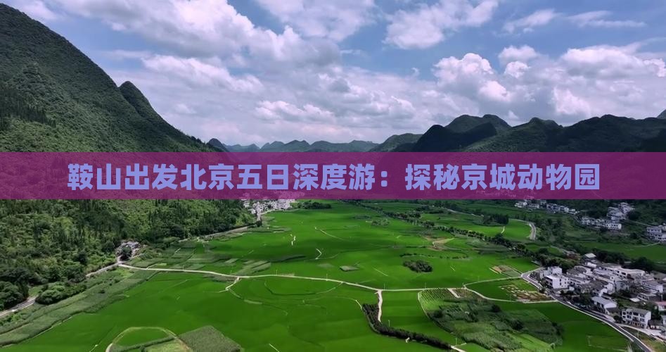 鞍山出发北京五日深度游：探秘京城动物园