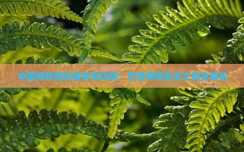 中国博物馆深度参观攻略：巴音郭楞赴京之旅全解析