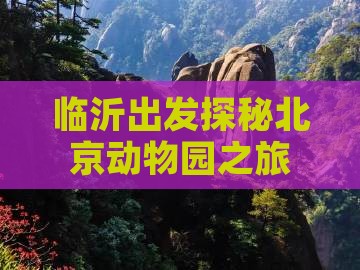 临沂出发探秘北京动物园之旅
