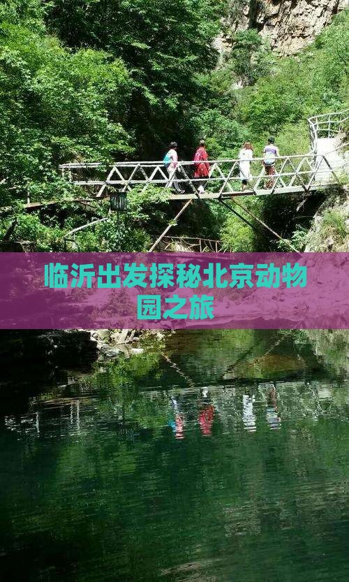 临沂出发探秘北京动物园之旅