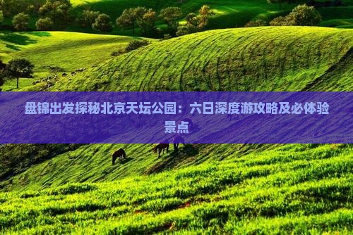 盘锦出发探秘北京天坛公园：六日深度游攻略及必体验景点