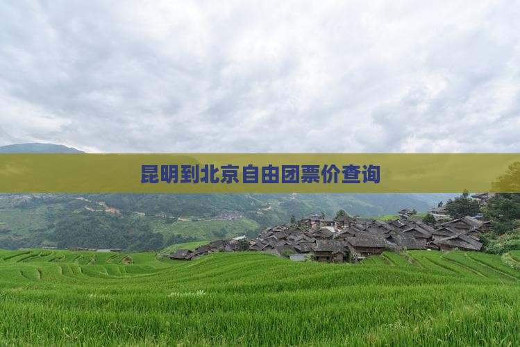 昆明到北京自由团票价查询