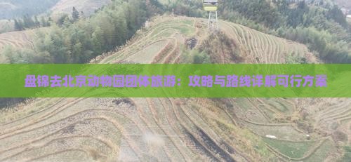 盘锦去北京动物园团体旅游：攻略与路线详解可行方案